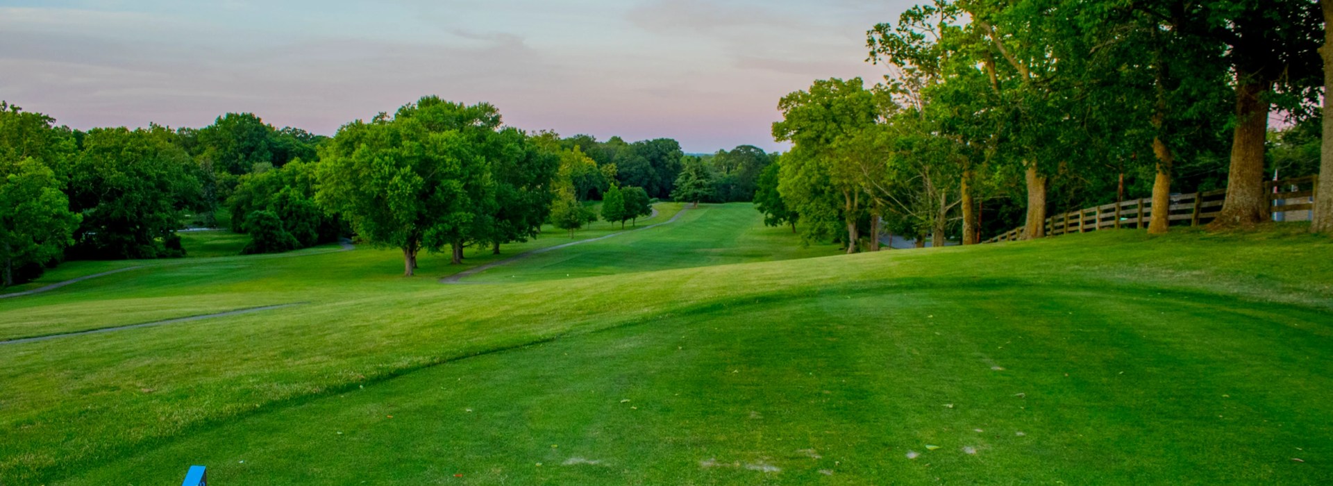 Golf course green